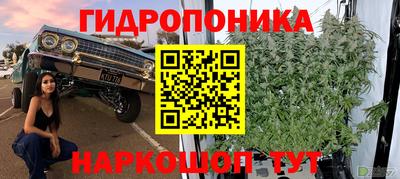 прущие грибы Среднеуральск