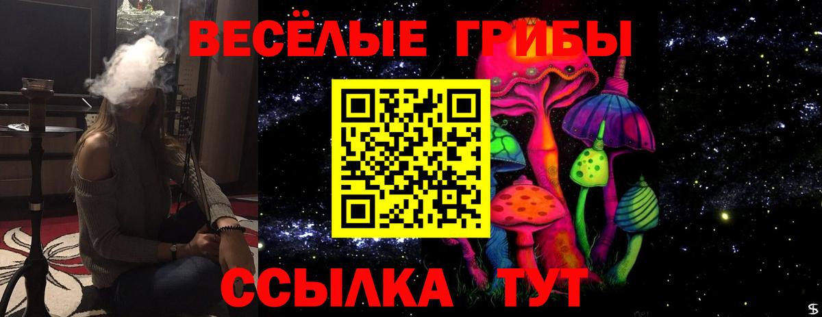 Аша  Псилоцибиновые грибы Cubensis  Галлюциногенные грибы ЛСД  Вход с VPN 